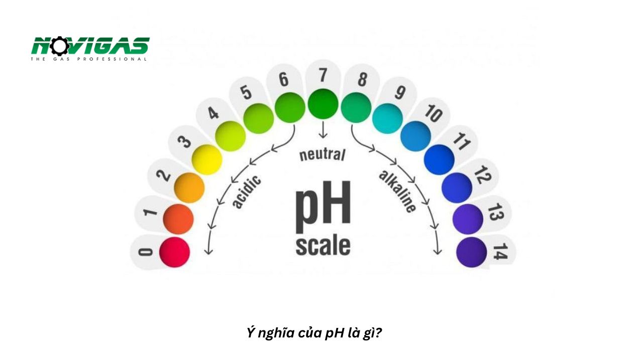 Ý nghĩa của pH là gì